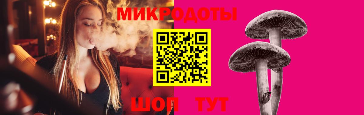 Псилоцибиновые грибы Psilocybe Джанкой